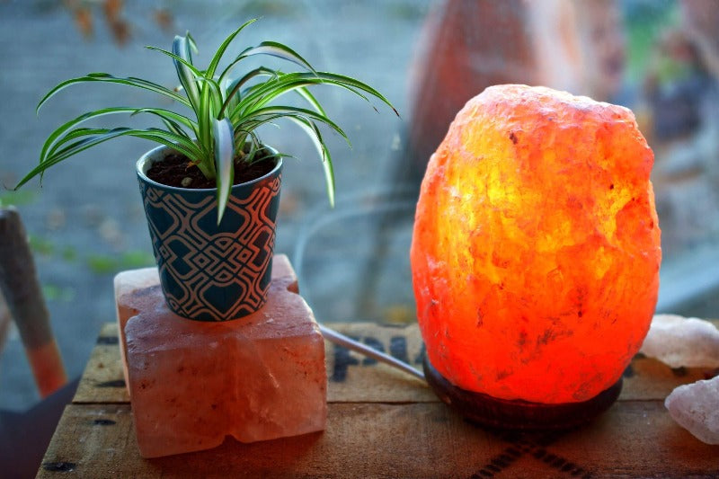 Large Himalayan Salt buying Lamp bowl with salt block, night light, 8